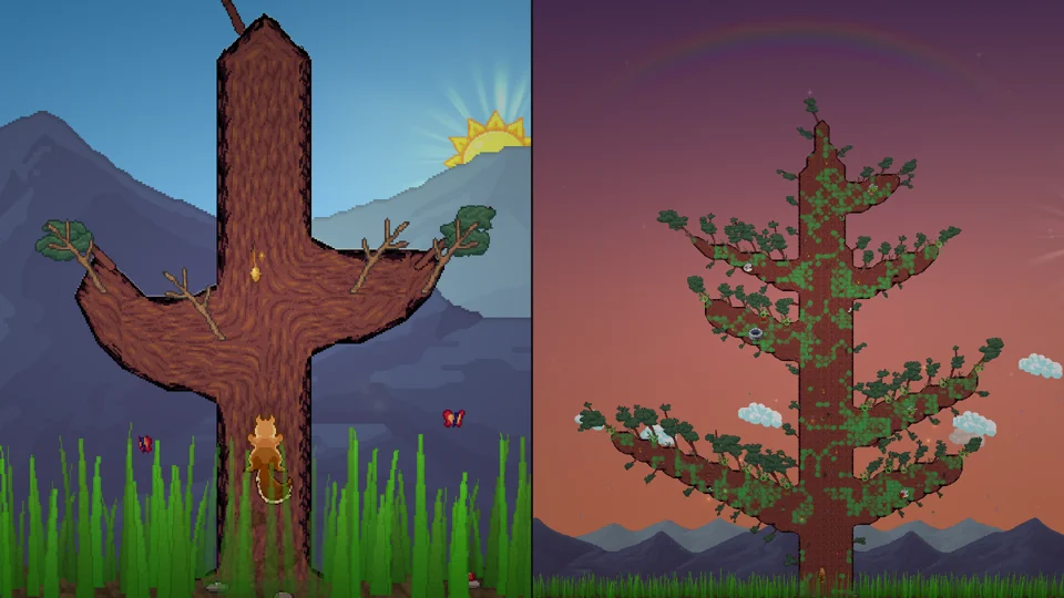 From sapling to giant (comparison)