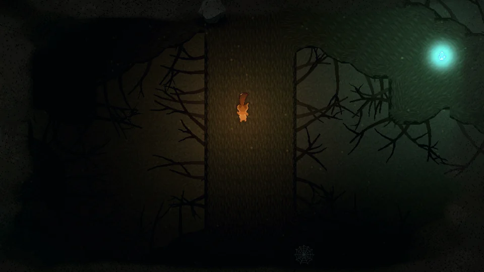 The root depths